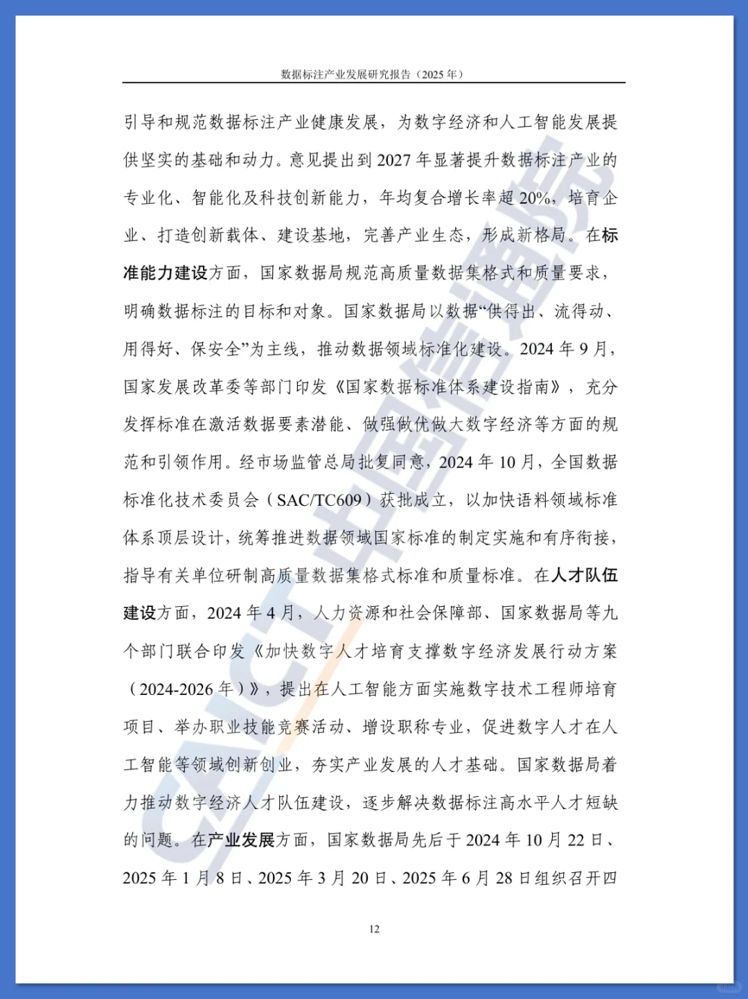数据标注产业发展研究报告
