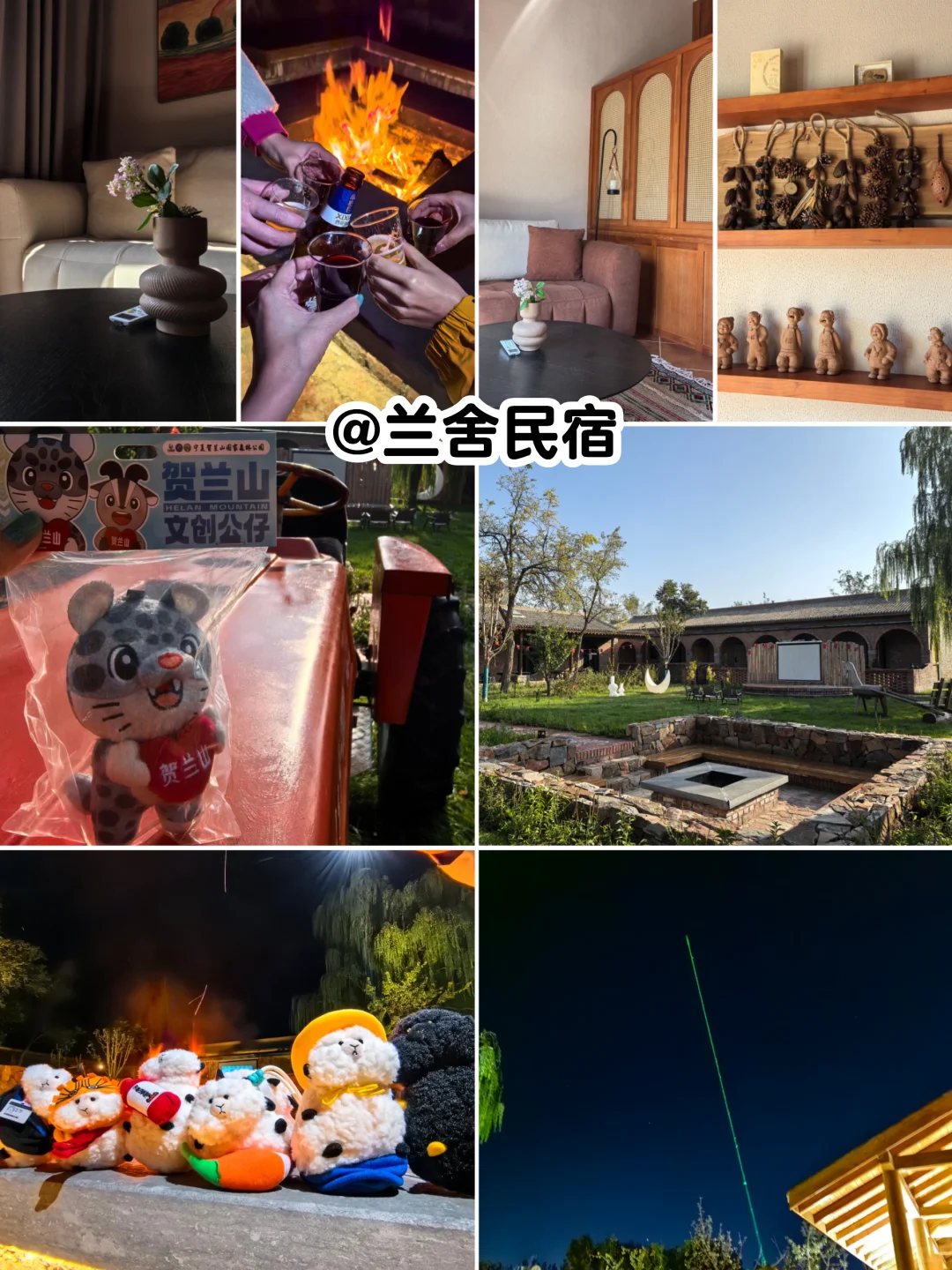 Prowine我们云游银川西夏!✈️