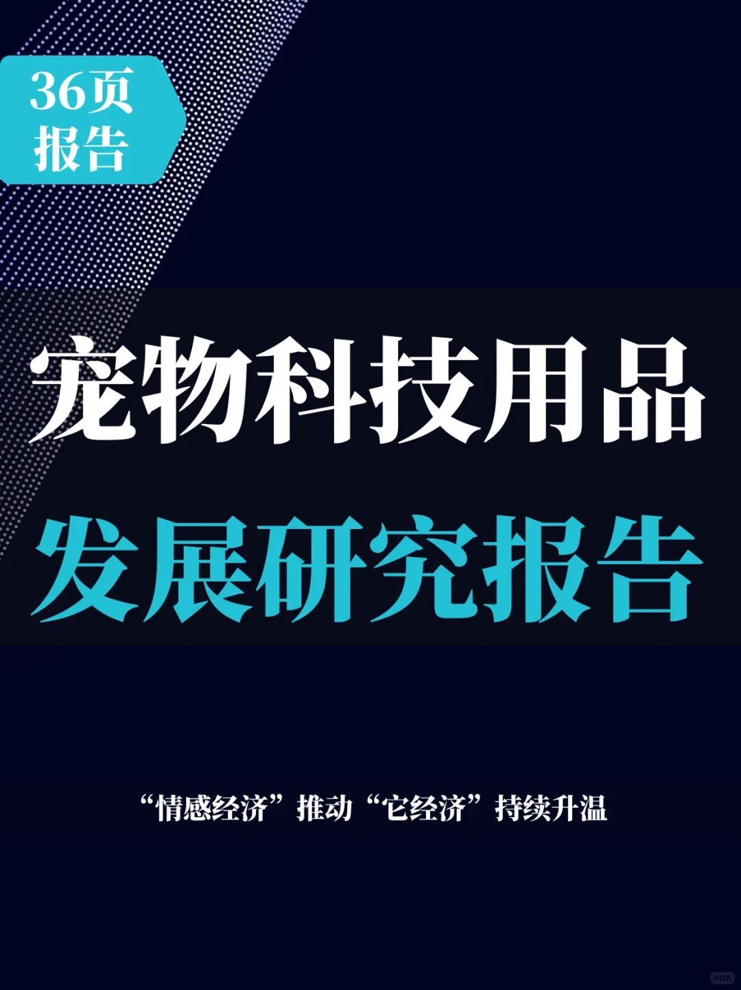 36页报告 | 2025年宠物科技用品发展研究
