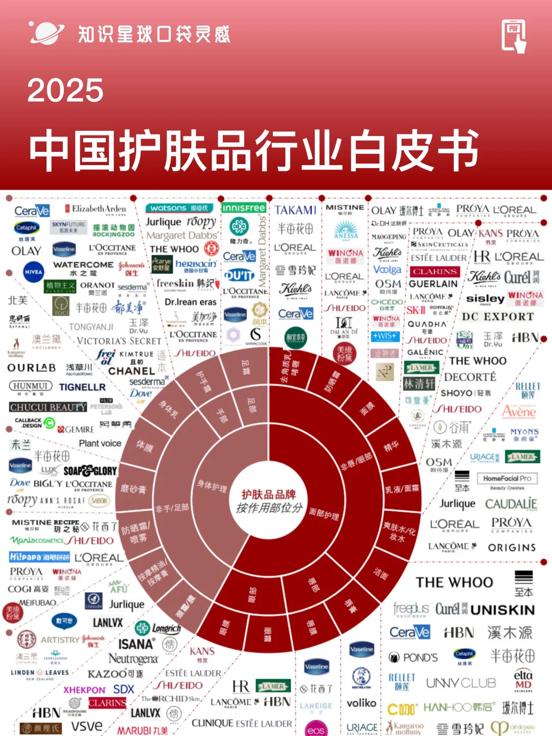 ♨️2025中国护肤品行业白皮书