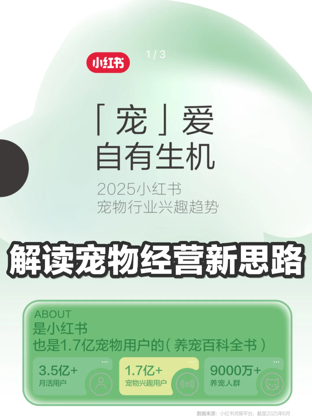 小红书宠物趋势,这届年轻人如何“养孩子”?