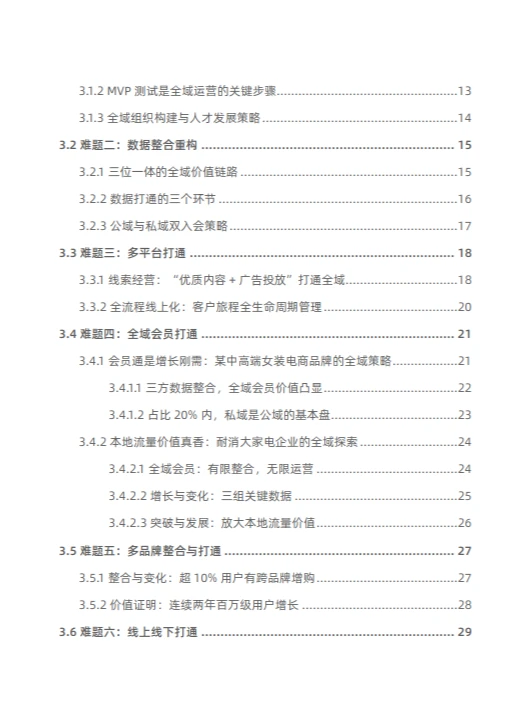 2024全域难题破解白皮书