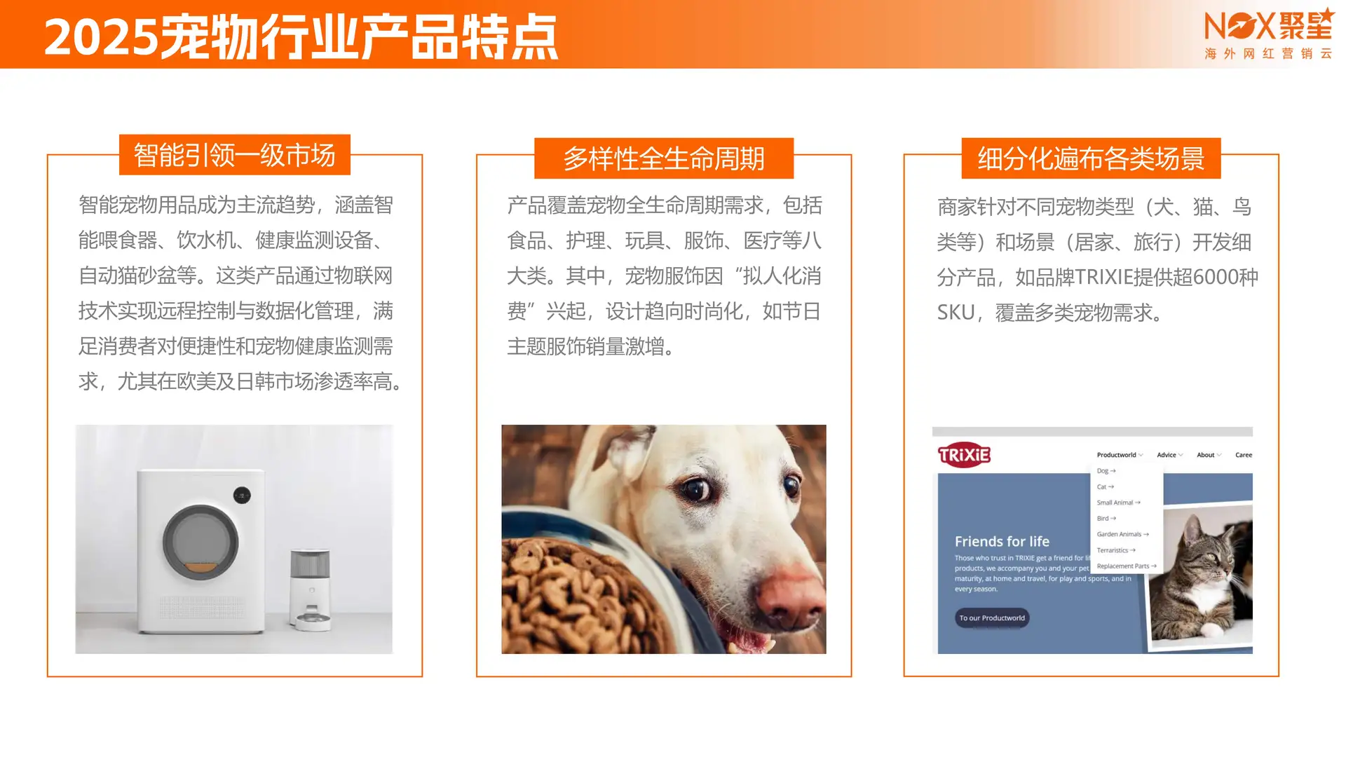 2025宠物品牌网红营销报告