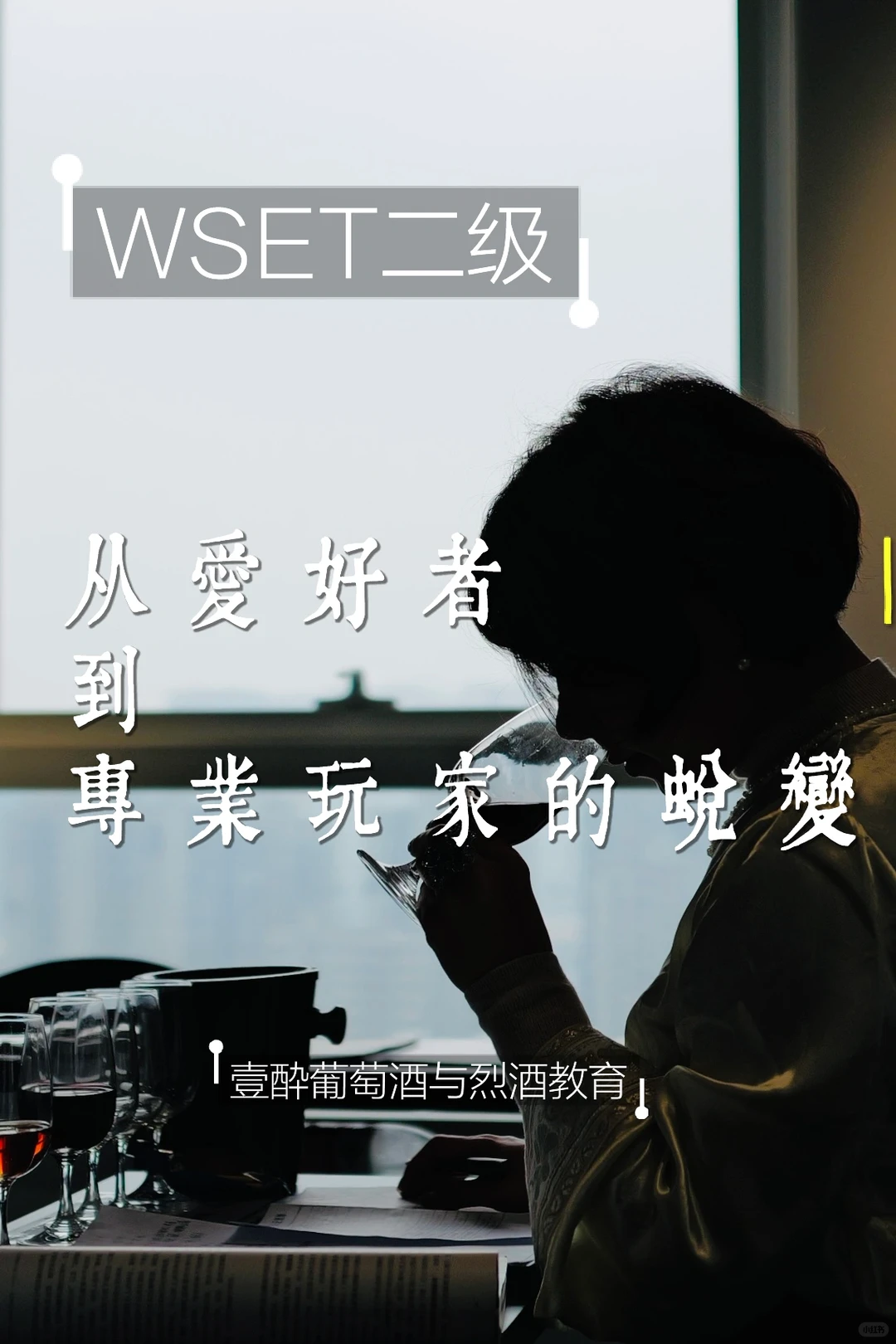 WSET 二级课程，助你从葡萄酒爱好者进阶专