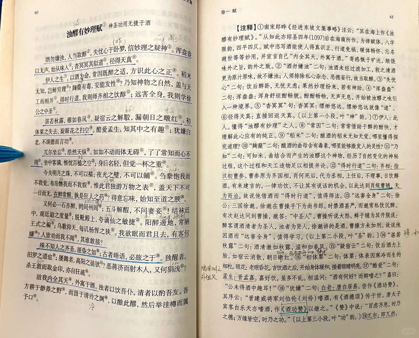 苏轼《浊醪有妙理赋》…酒勿嫌浊,人当取醇