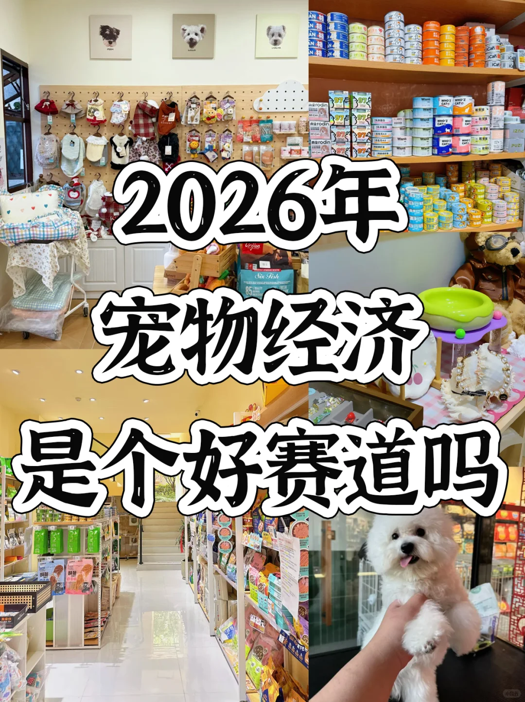 2026的下一个风口,会是宠物经济吗?