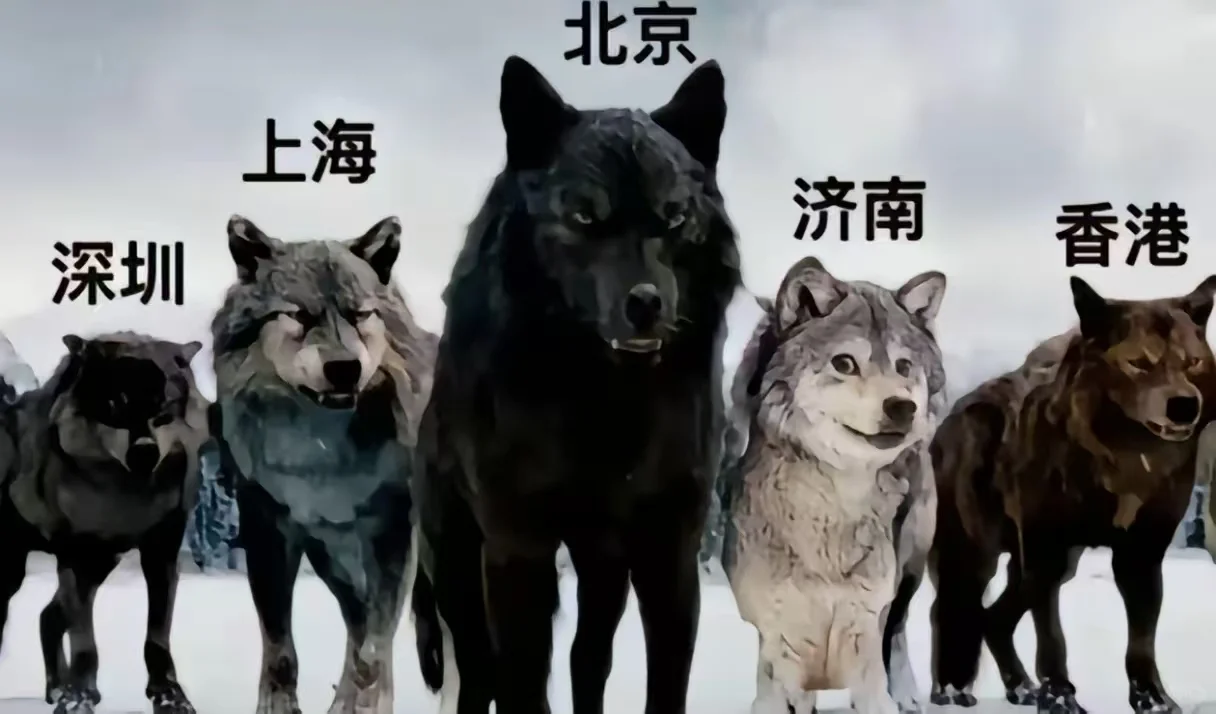 济南：我？！