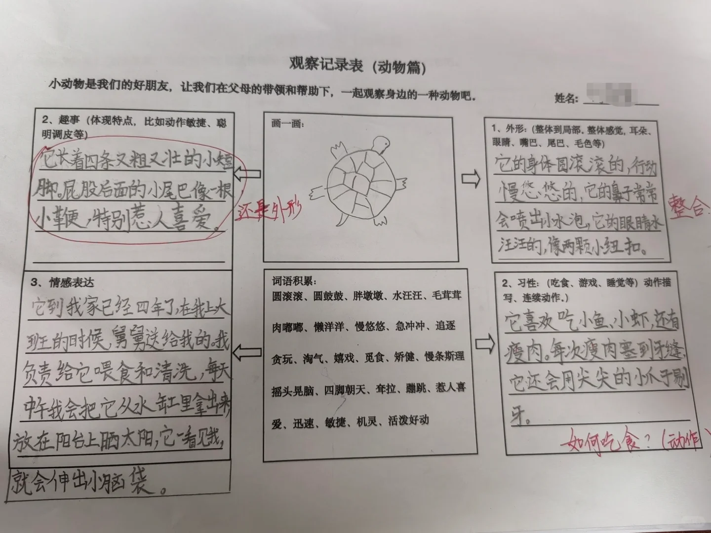 观察记录表，三上语文第五单元