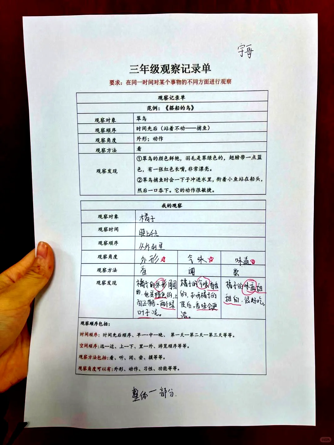 三上五单元 观察记录表（包括空白格式）
