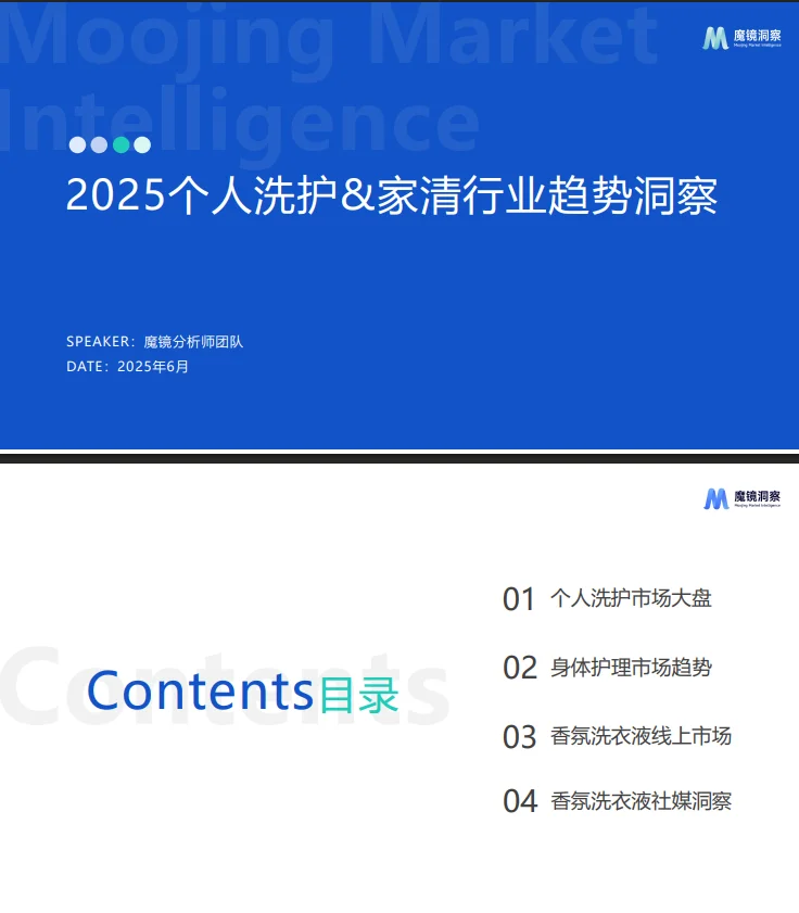 30页报告 |【魔镜洞察】2025个人洗护家清行业
