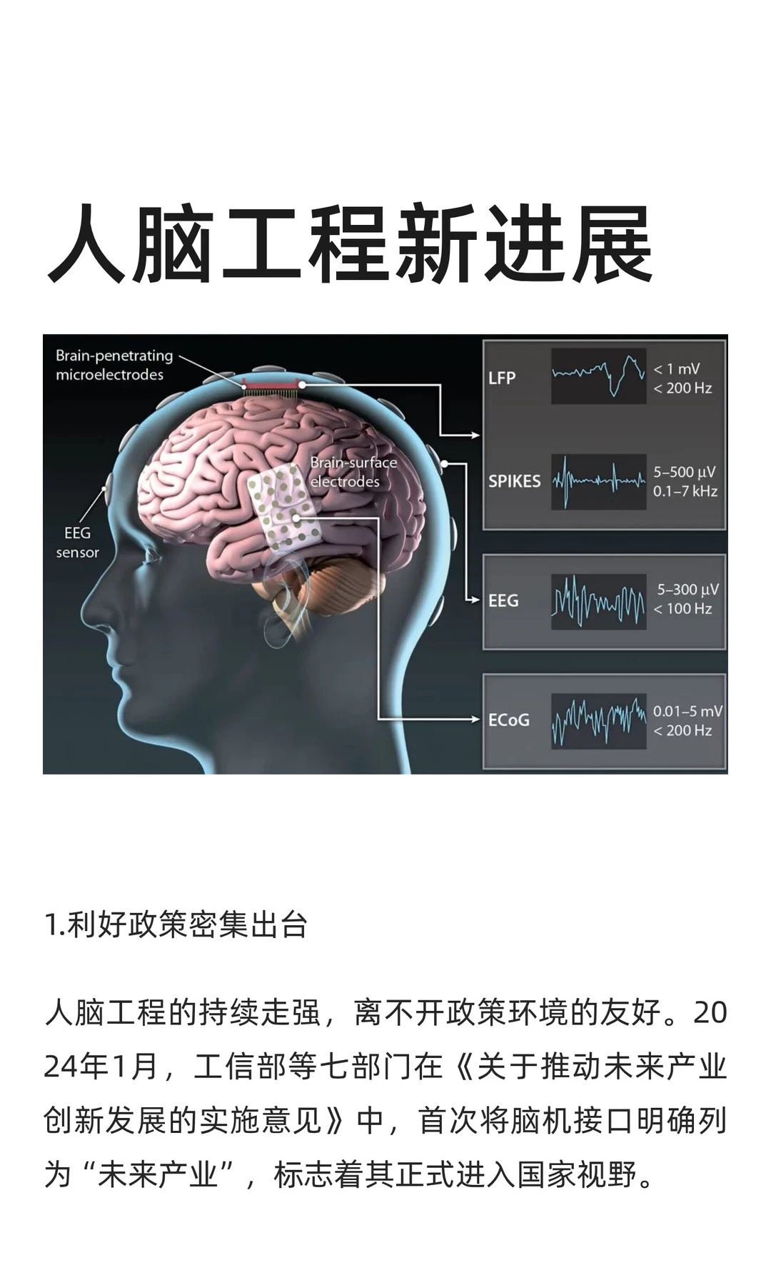 人脑工程新进展
