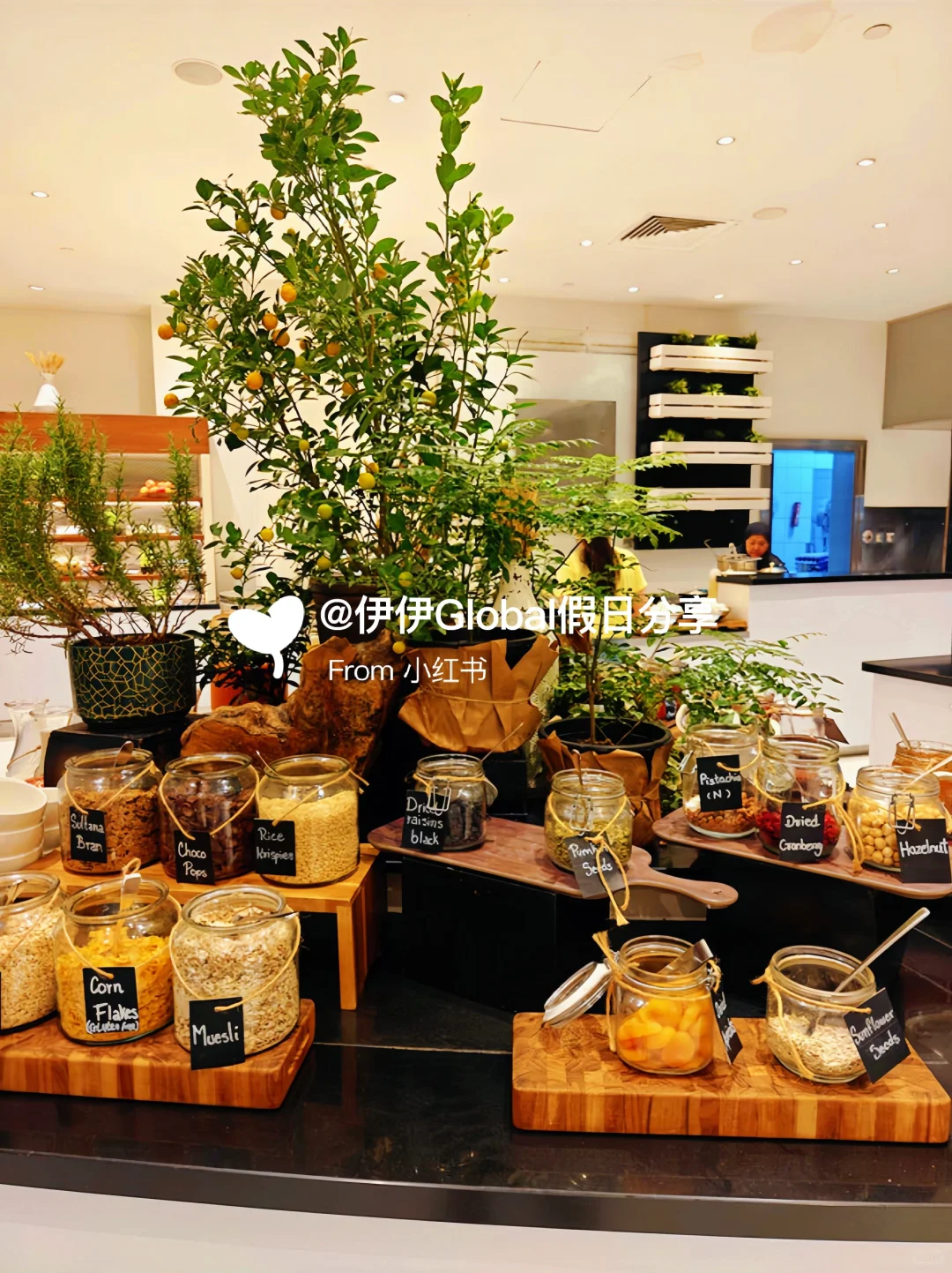 迪拜有去的吗?半价出迪拜酒店(11.16-2.28)