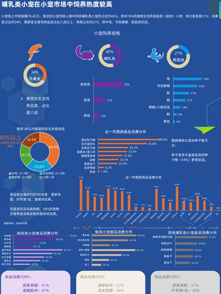 中国宠物经济行业：千亿赛道上的它经济