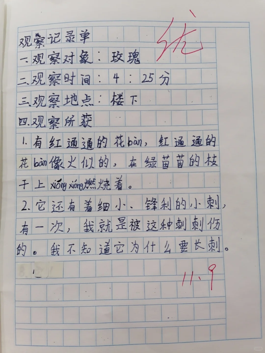 三年级上册语文第五单元：观察记录（植物）