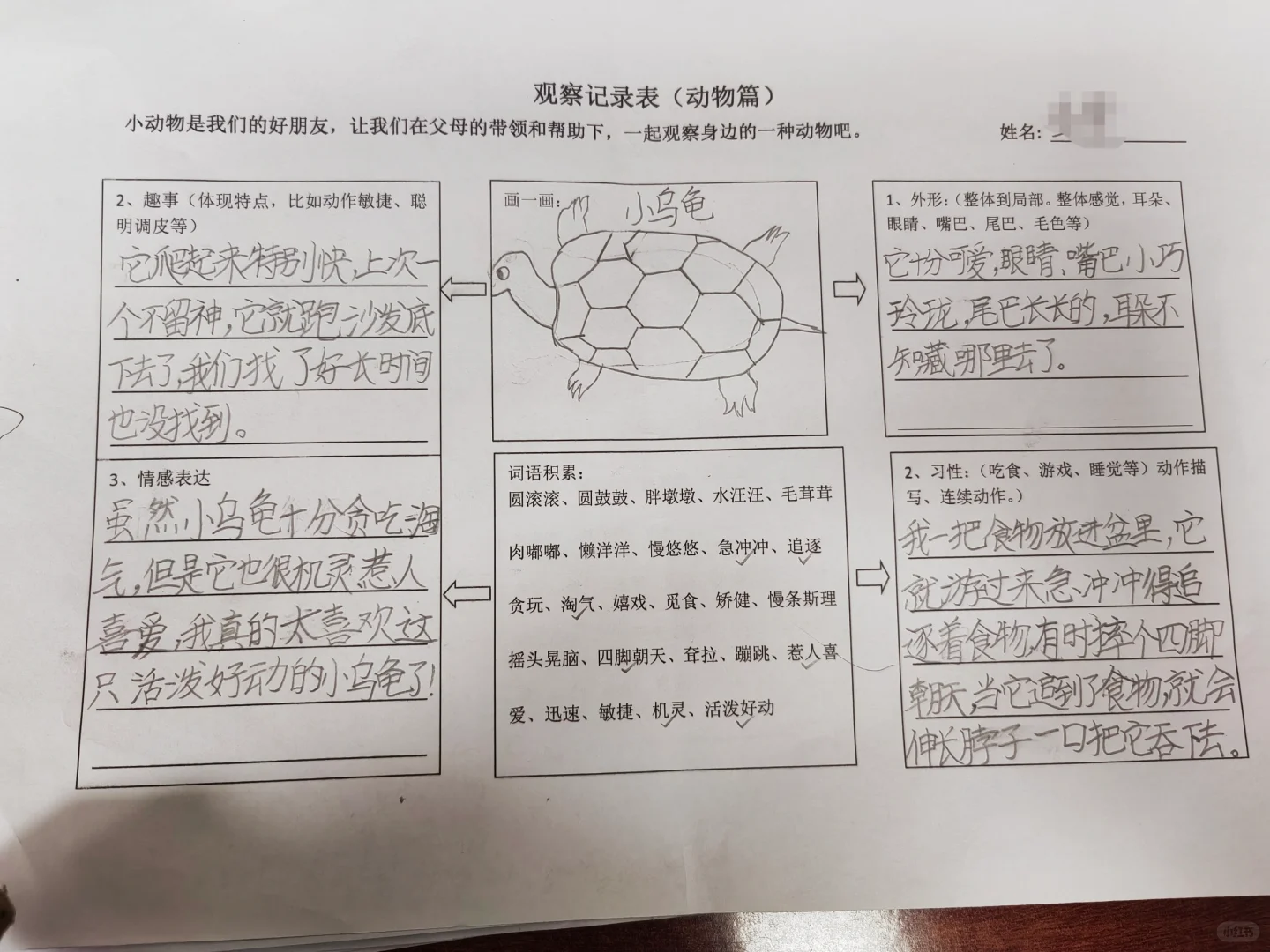 观察记录表，三上语文第五单元