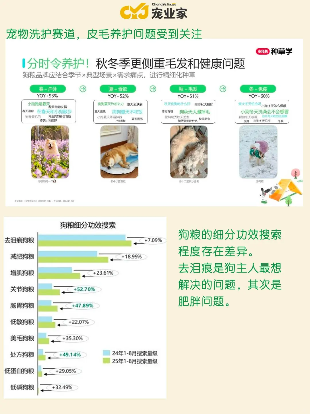行业报告｜小红书双11宠物行业趋势前瞻