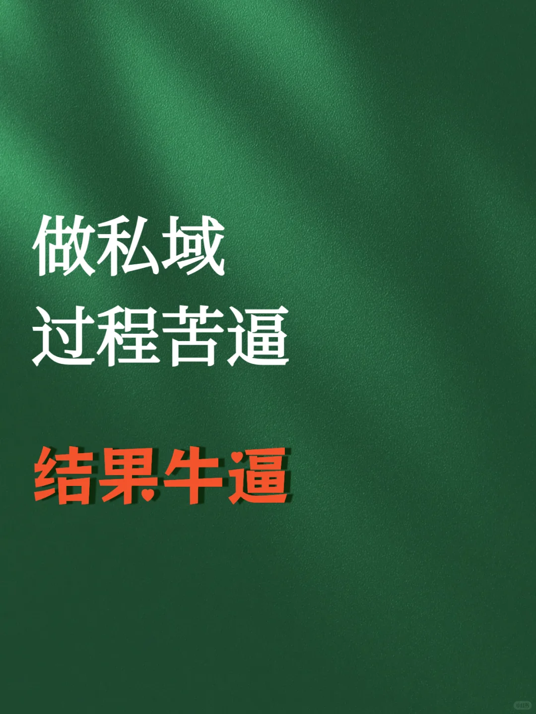 做私域:过程苦逼到怀疑人生,结果牛逼到笑