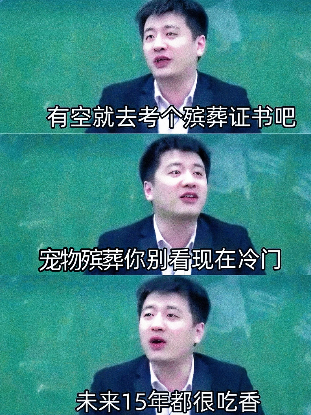 当初老师考了宠物殡葬师,直接躺平