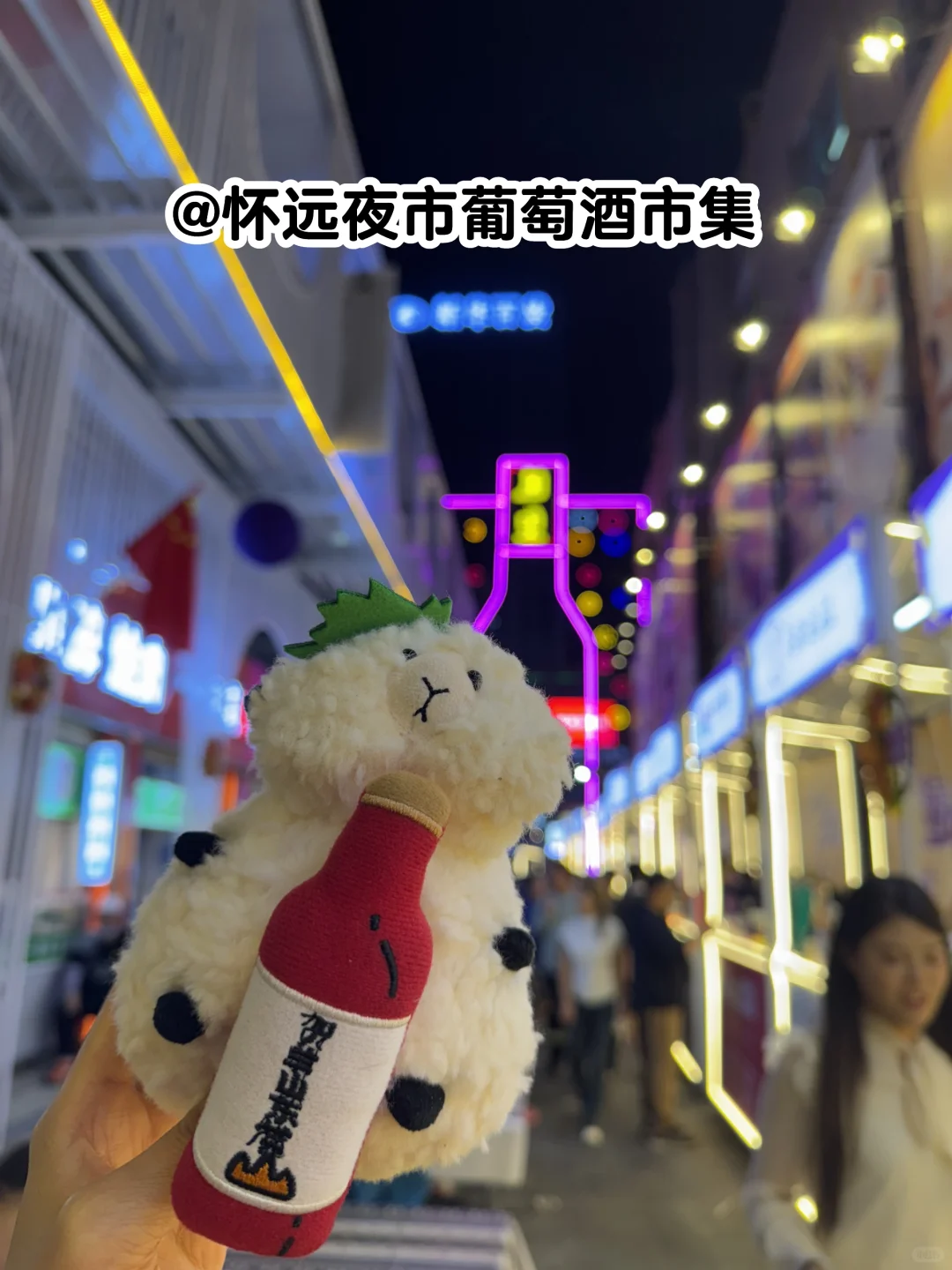 Prowine我们云游银川西夏!✈️