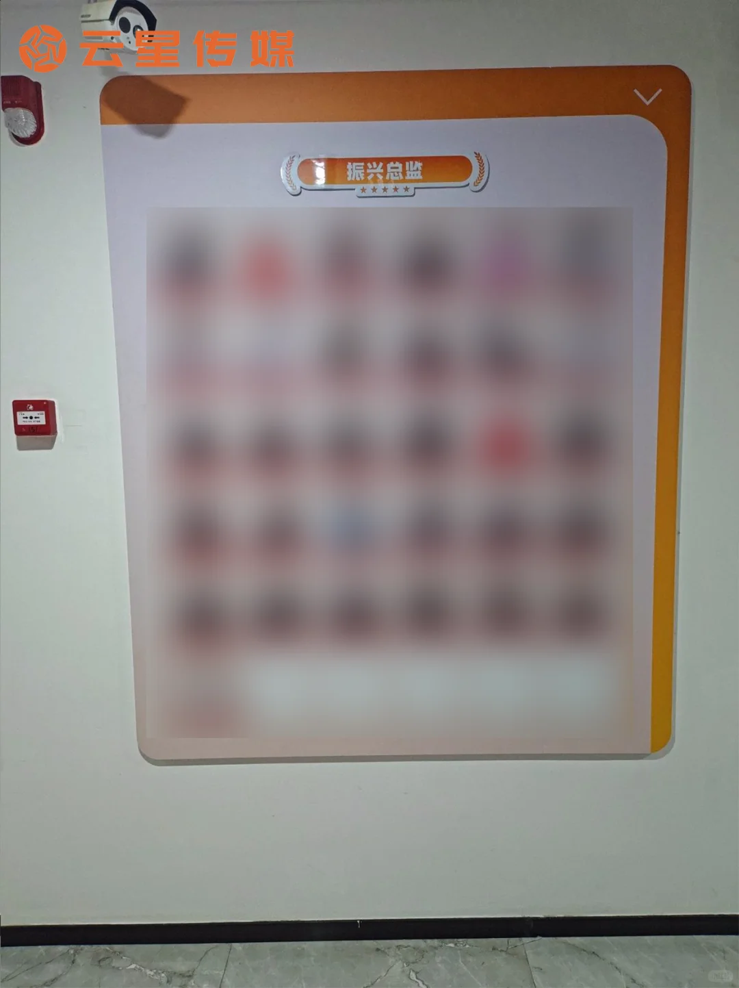 企业荣誉墙实拍，成就需要被看见✨