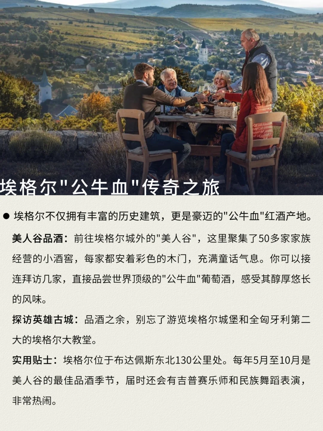 欢迎你到匈牙利开启回味无穷的红酒之旅!
