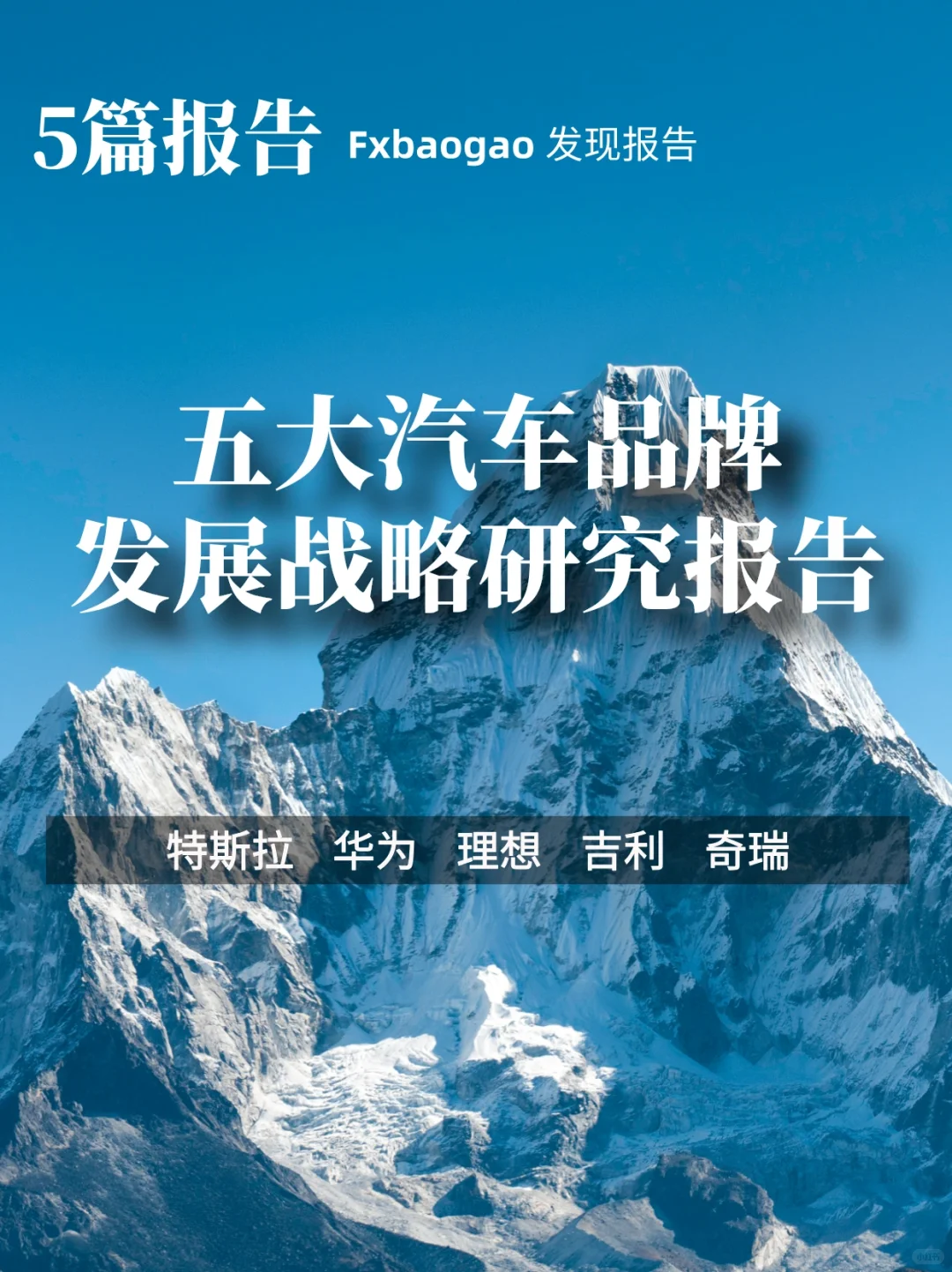特斯拉华为理想等汽车品牌战略研究报告