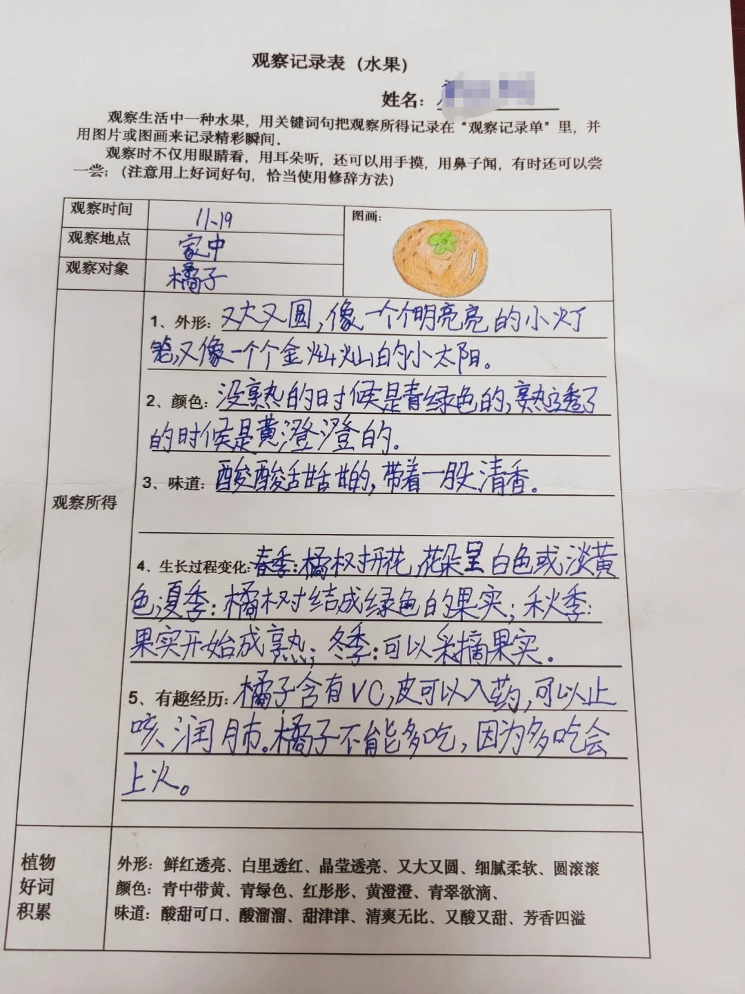 观察记录表，三上语文第五单元