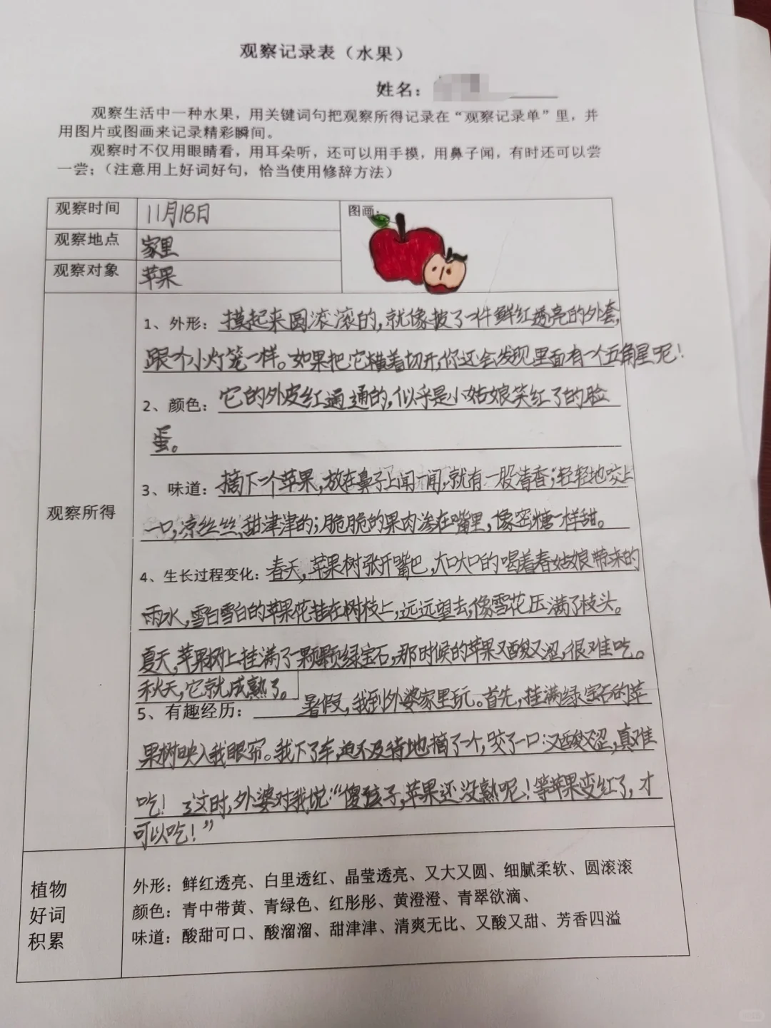 观察记录表，三上语文第五单元