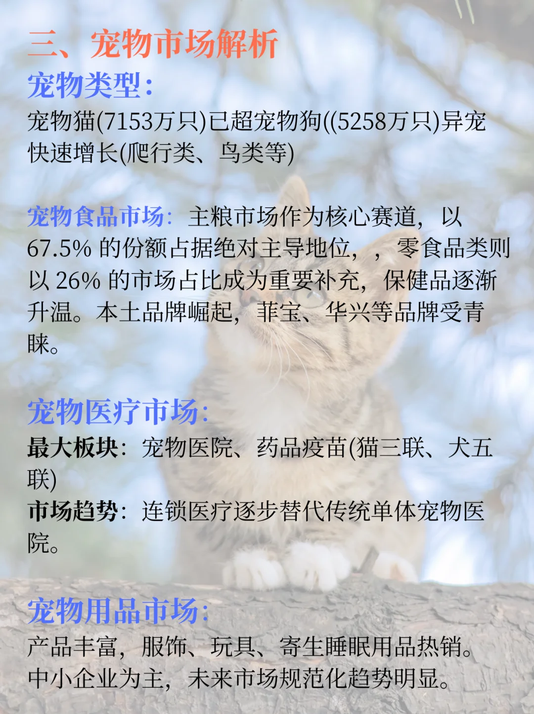 每日了解一条产业链 | 宠物行业分析