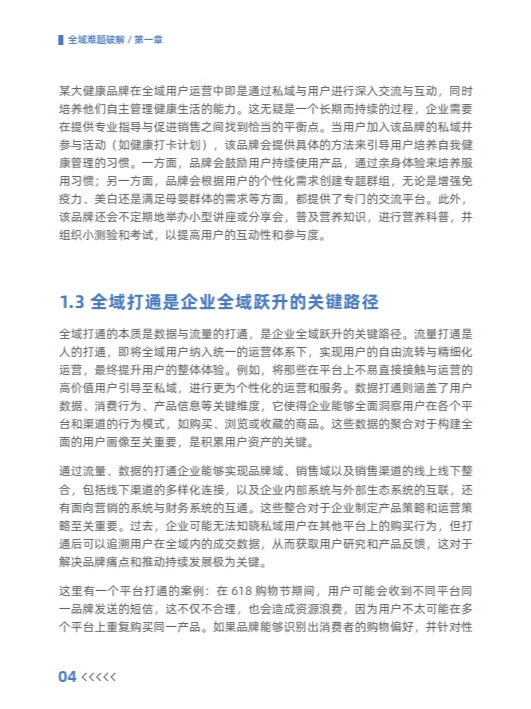 2024全域难题破解白皮书