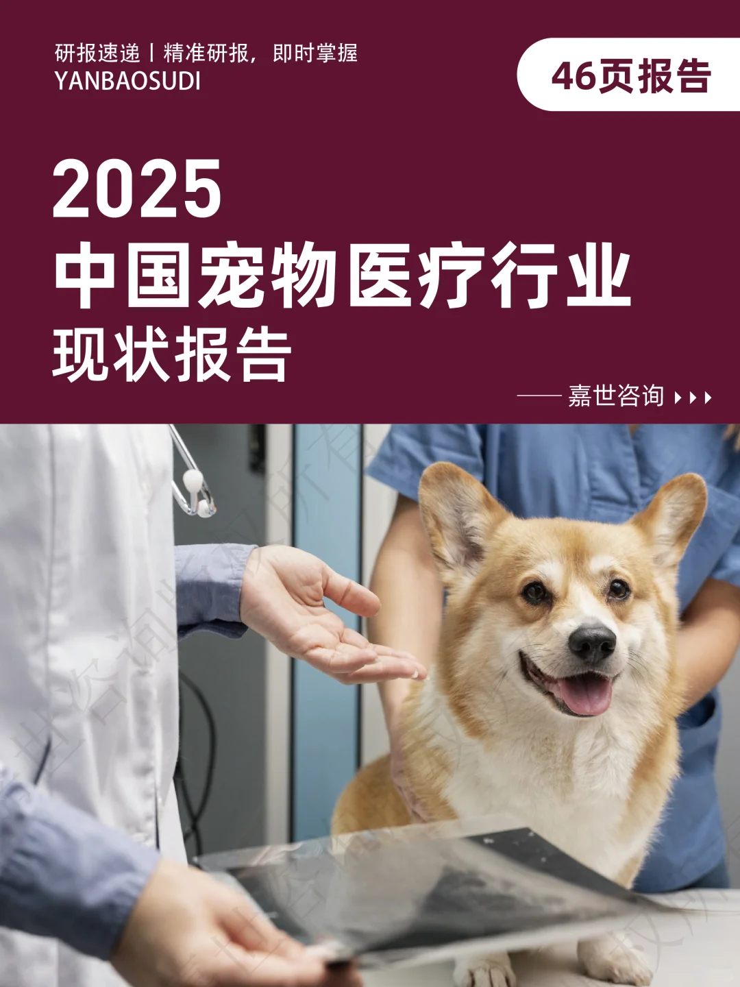 2025年中国宠物医疗行业现状报告,宠物医疗
