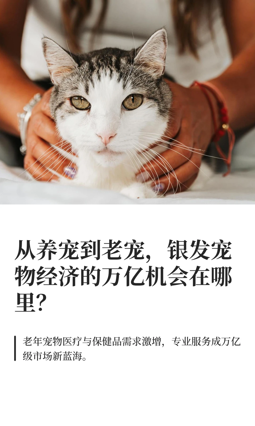 从养宠到老宠，银发宠物经济的万亿机会在哪