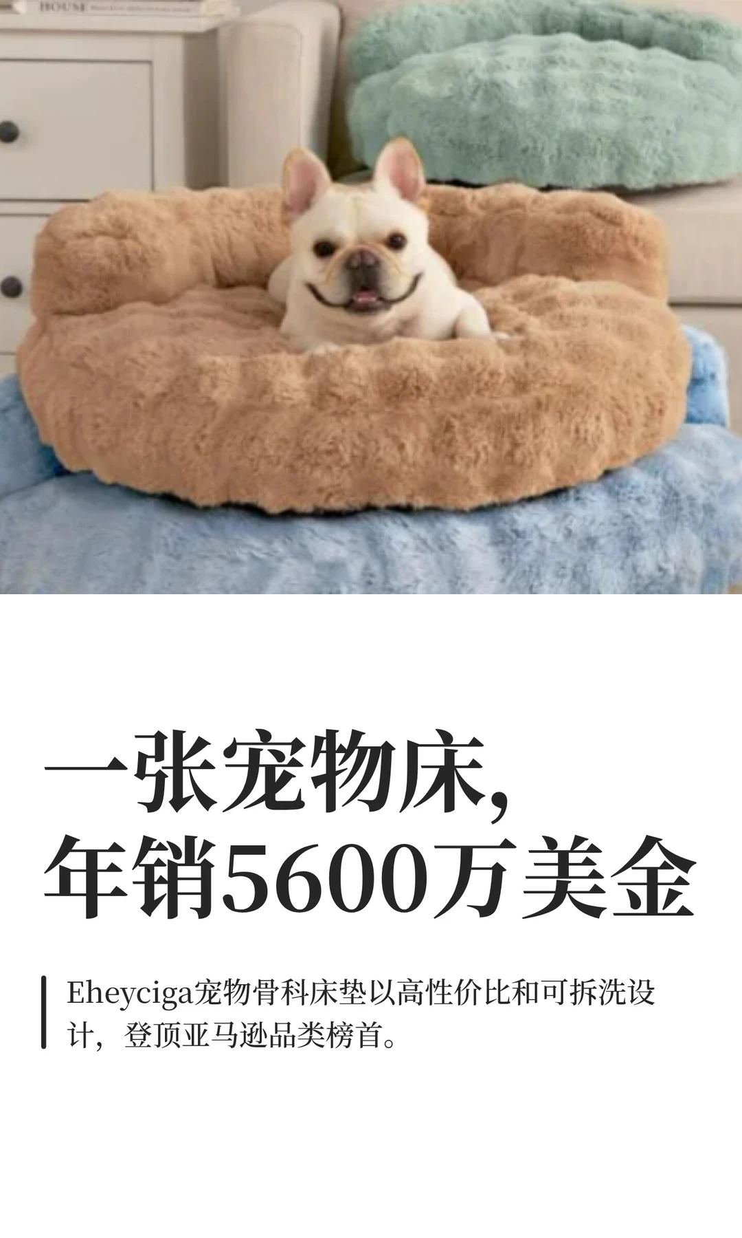 一张宠物床，年销5600万美金