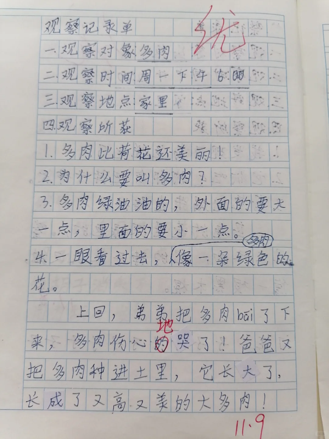 三年级上册语文第五单元：观察记录（植物）