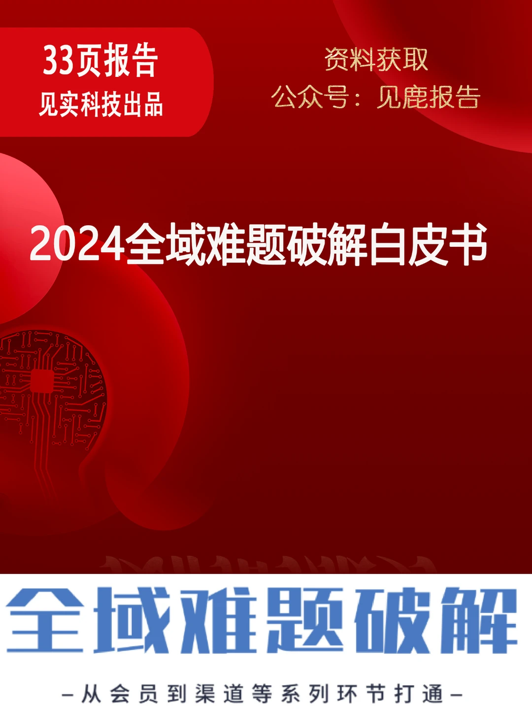 2024全域难题破解白皮书