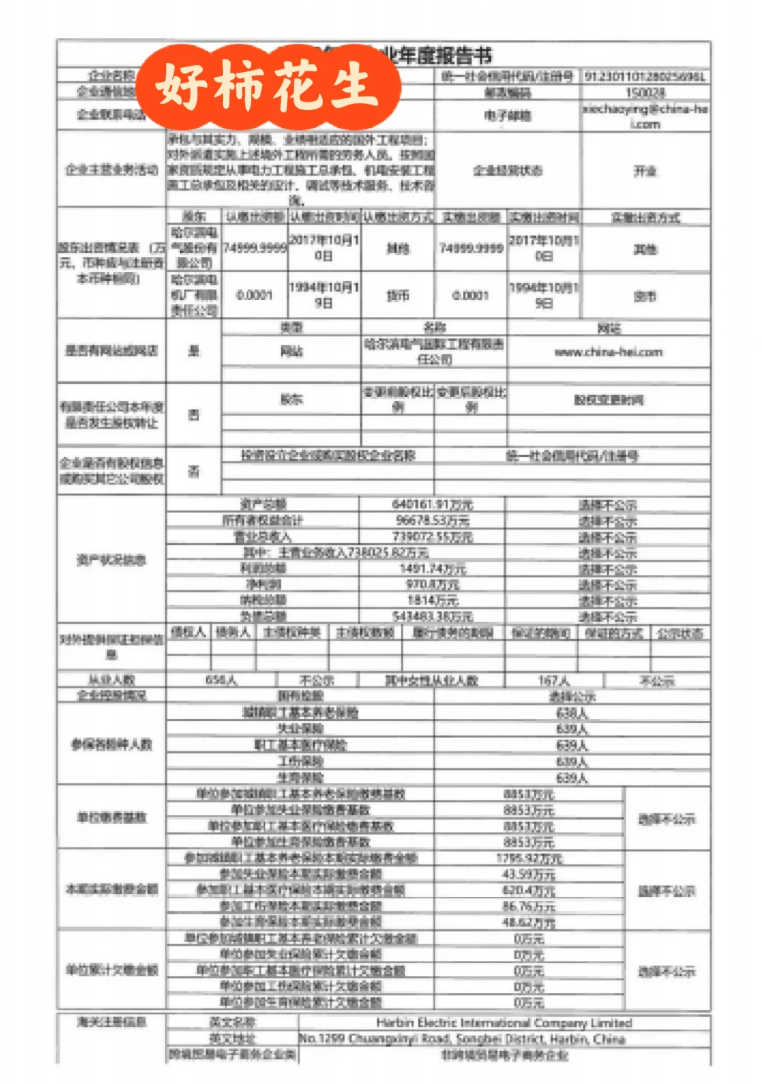 企业年度报告书——中译英
