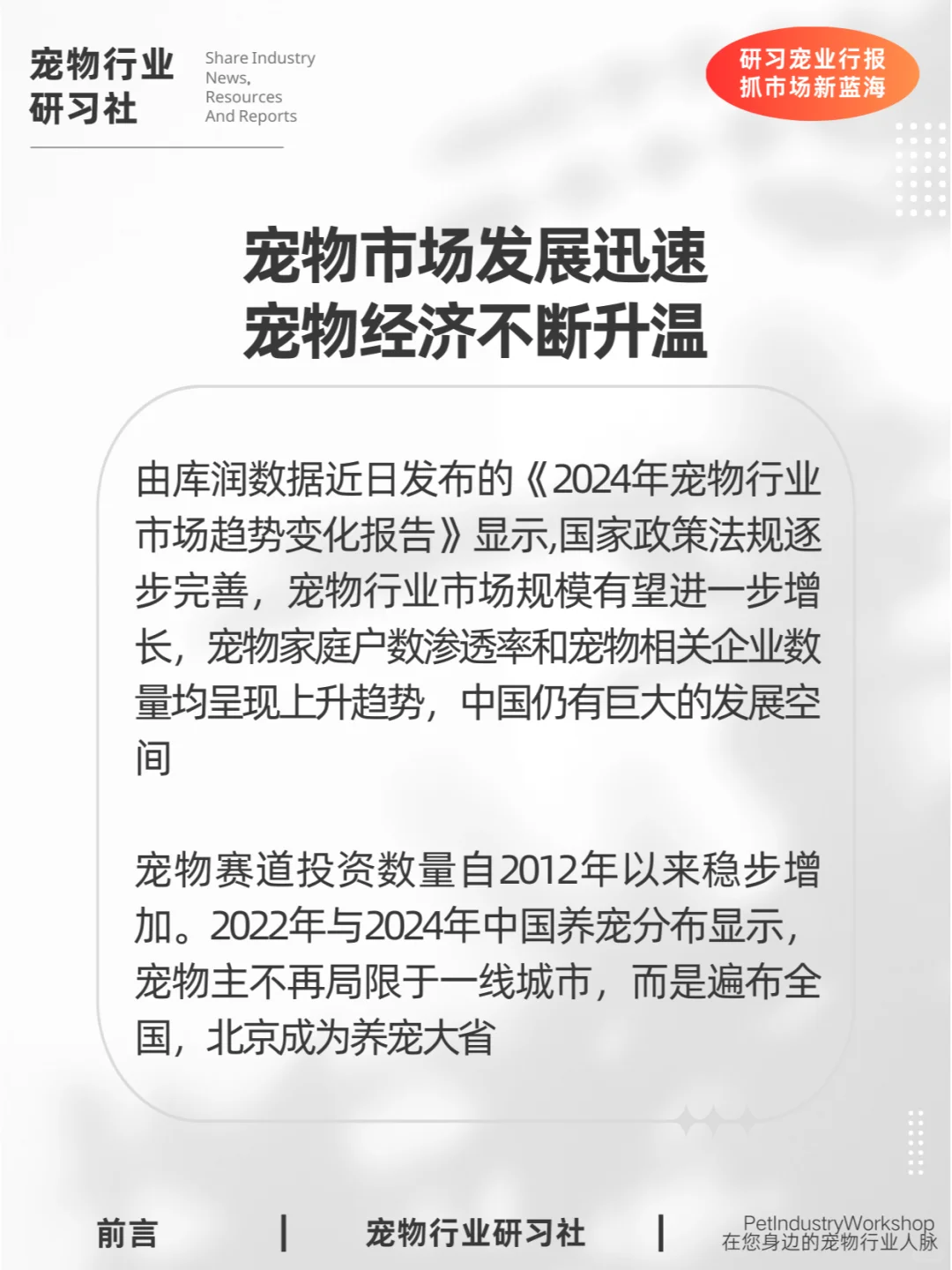 宠物行业报告|2024宠物行业市场趋势变化