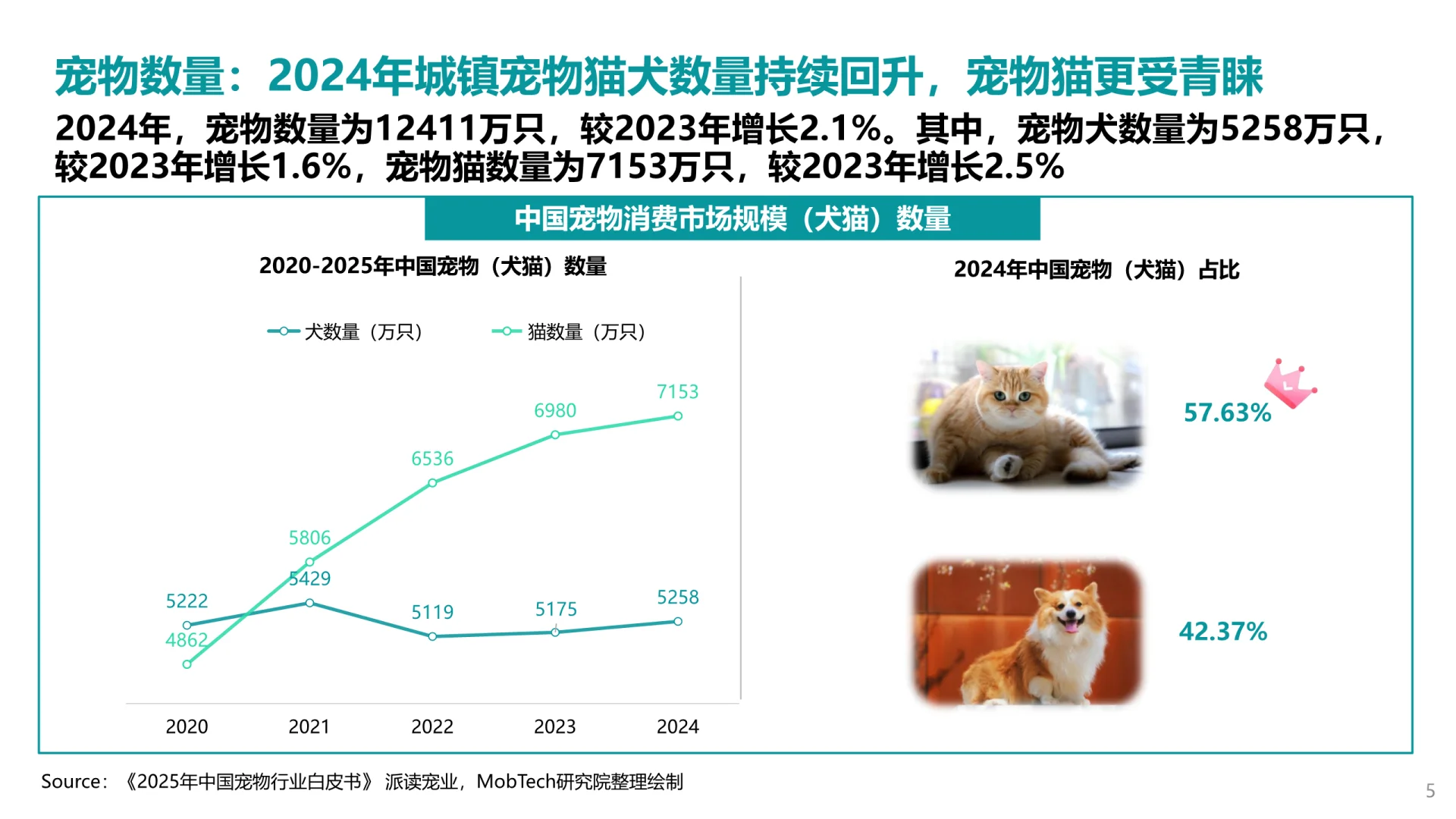 6篇报告 | 我读懂了宠物经济