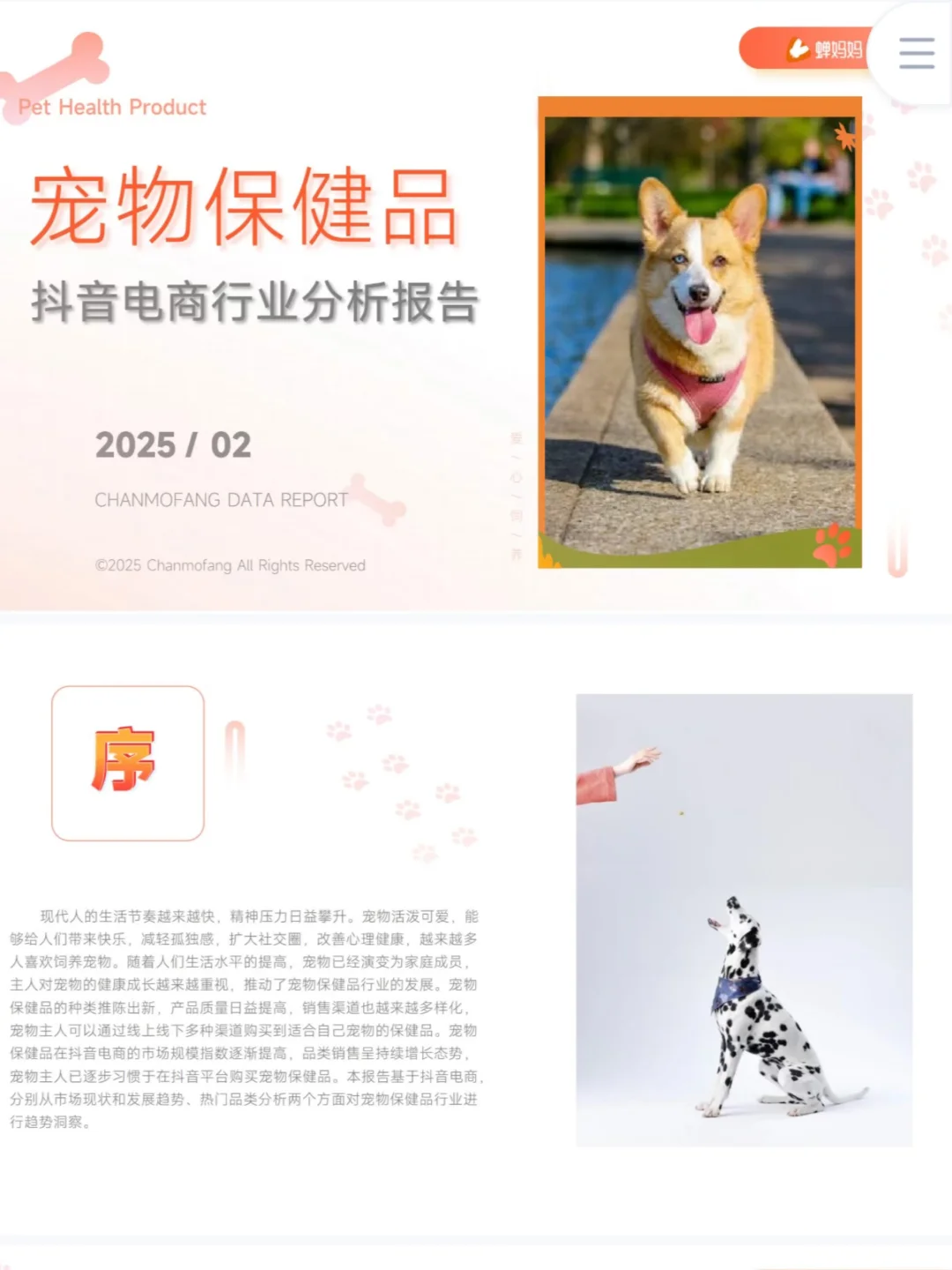 宠物行业研究报告合集|11篇报告