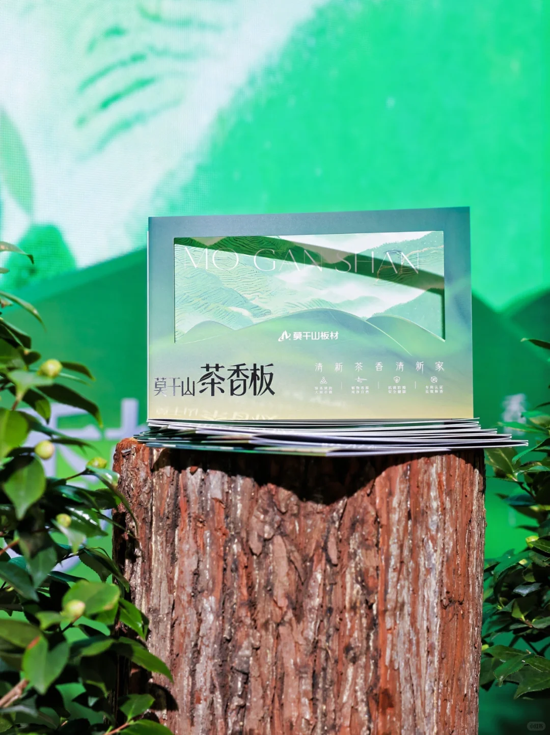 莫干山「未见」系列新品发布会直击现场!