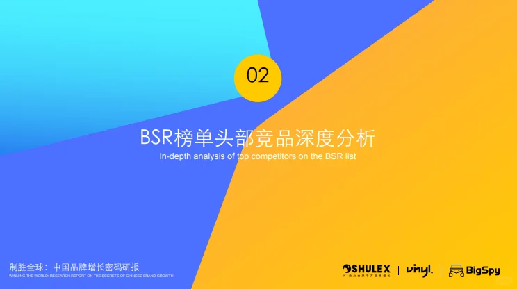 75页报告 |【shulex】2025年3D打印机出海趋势