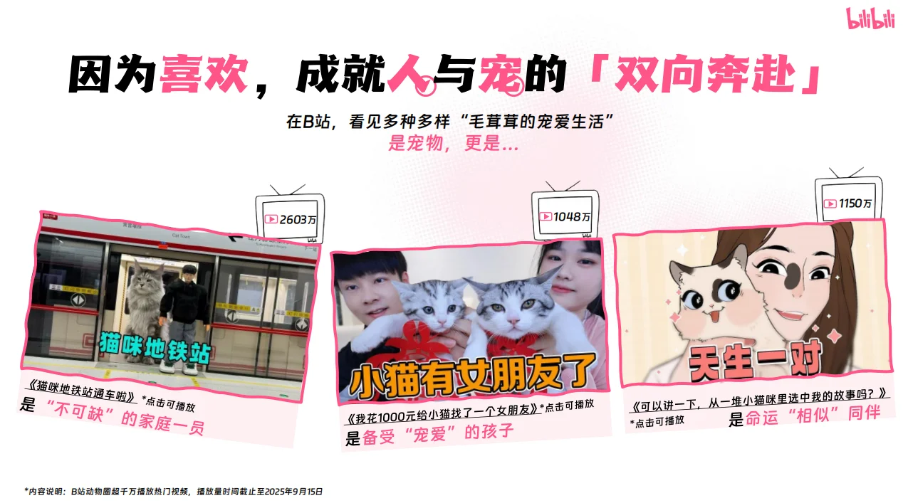 2025年B站宠物行业营销通案
