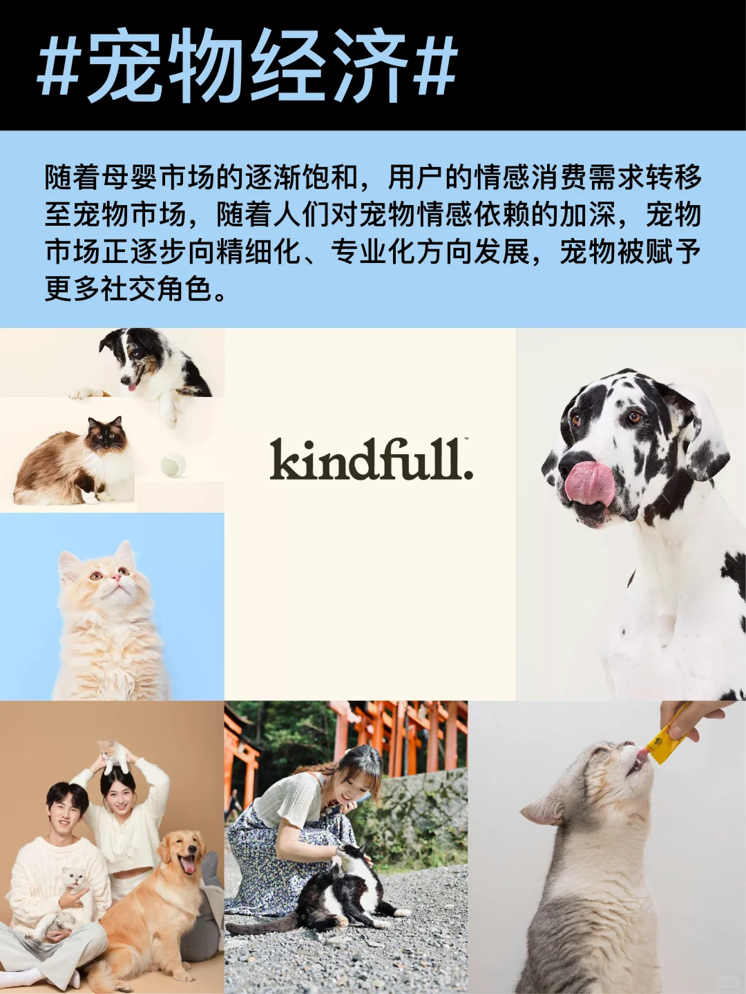 ?年度消费新趋势5个关键词梳理
