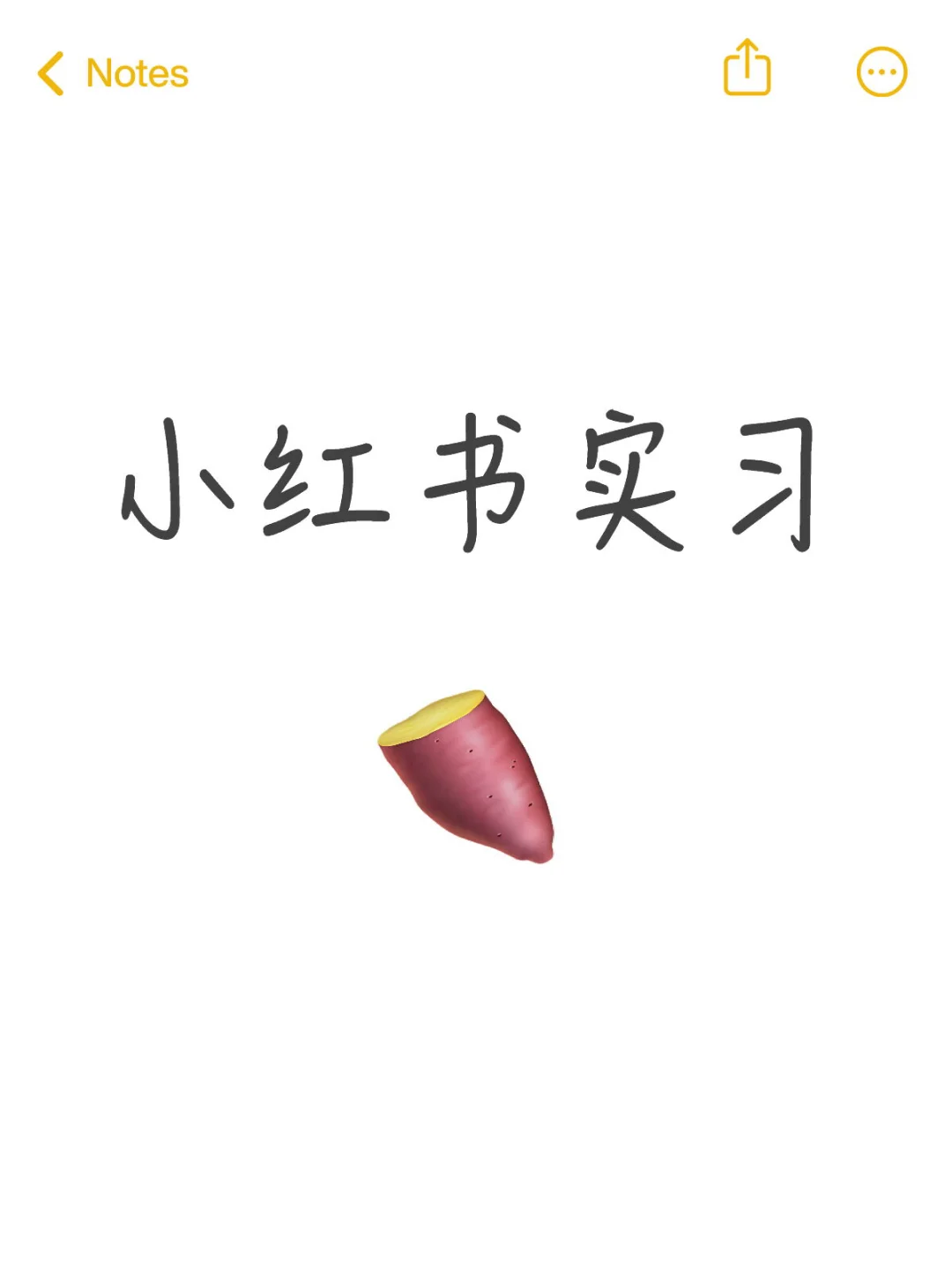 小红书实习base北京