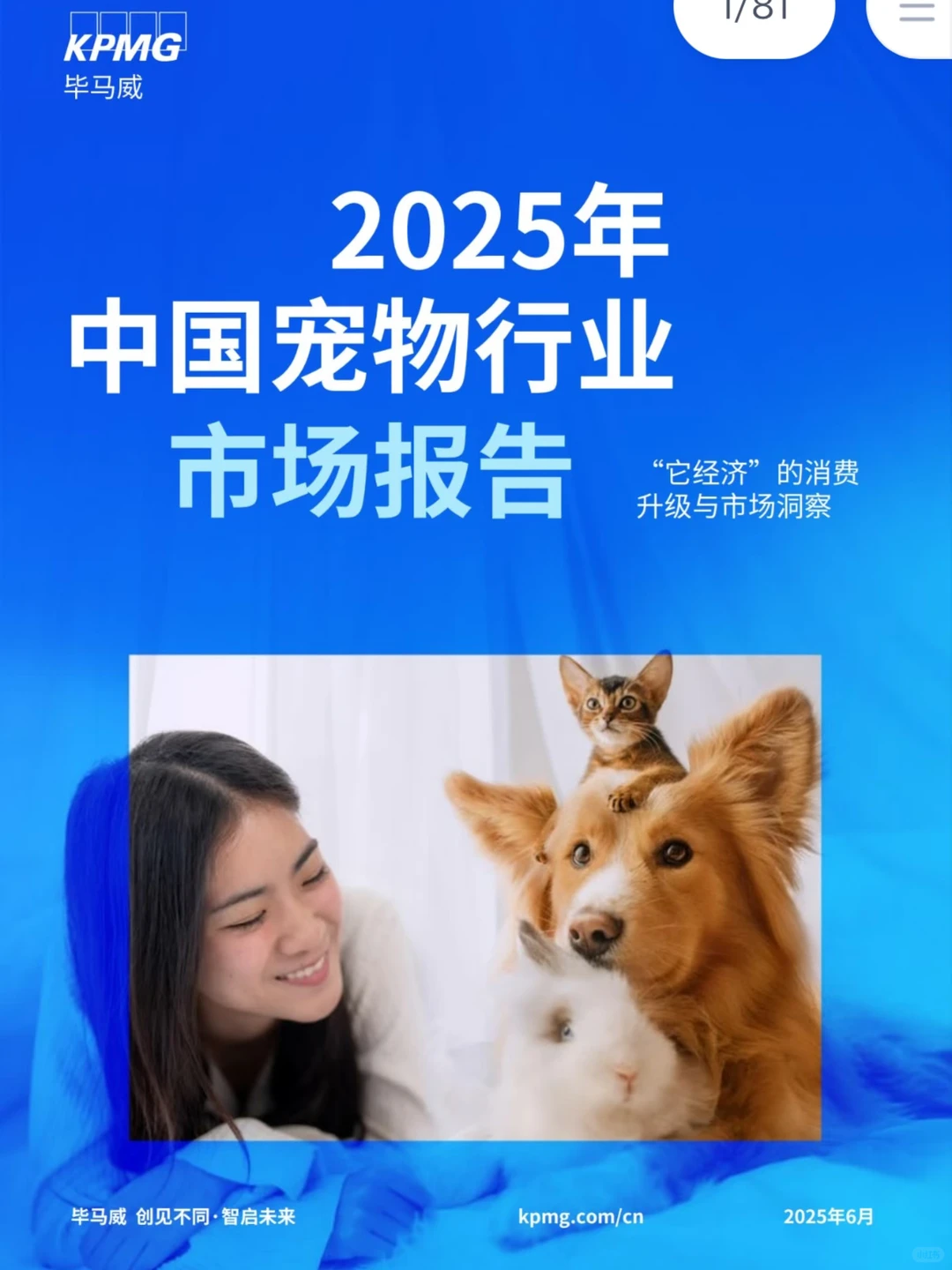 宠物行业研究报告合集|11篇报告