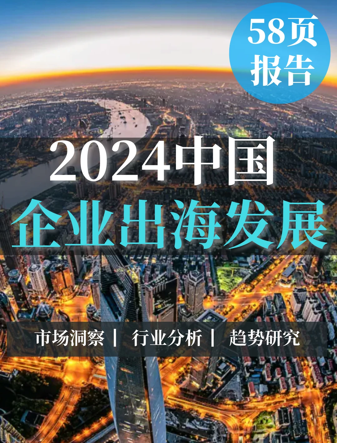 58页报告|2024中国企业出海发展分析