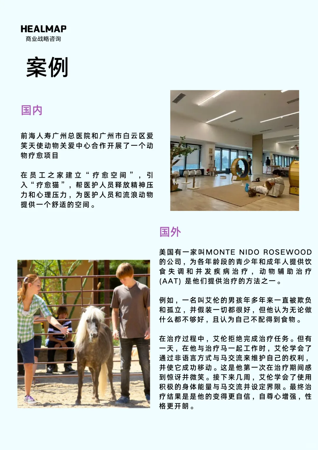 ?行业|动物疗愈行业深度解析