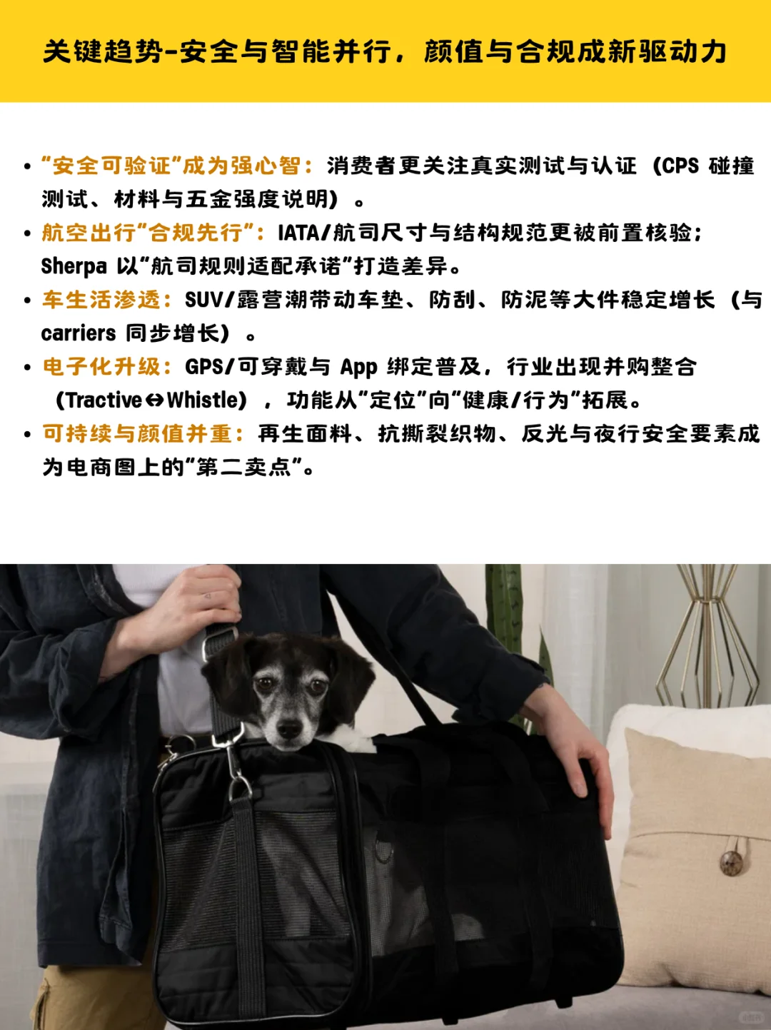 24亿美国宠物出行市场,不单是一条牵引绳
