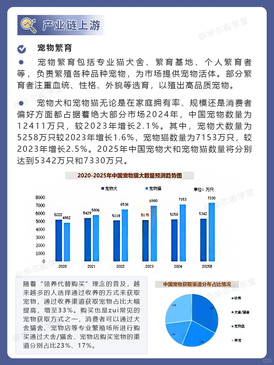 ??它来了！宠物经济产业链全景