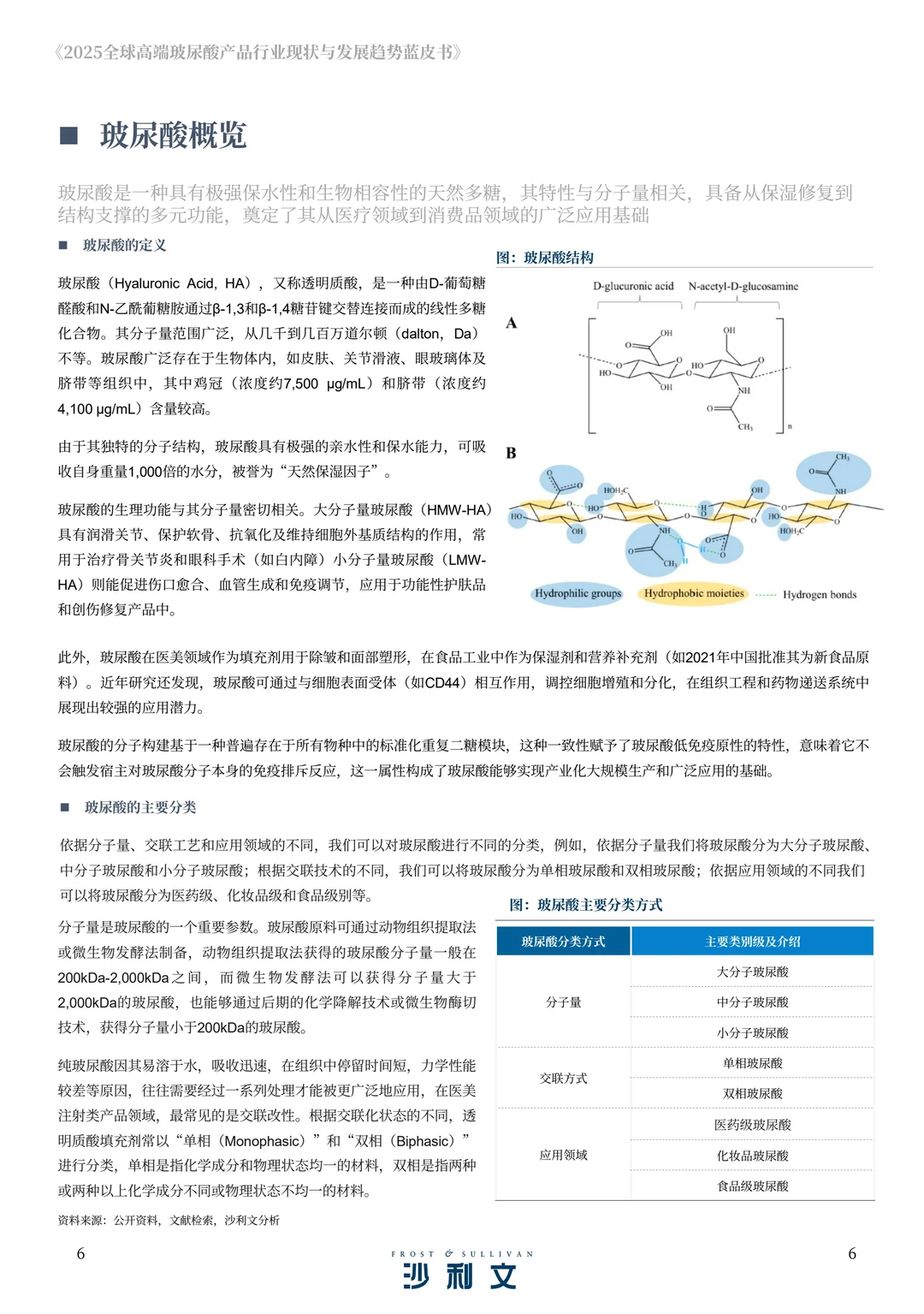 2025年全球高端玻尿酸产品报告